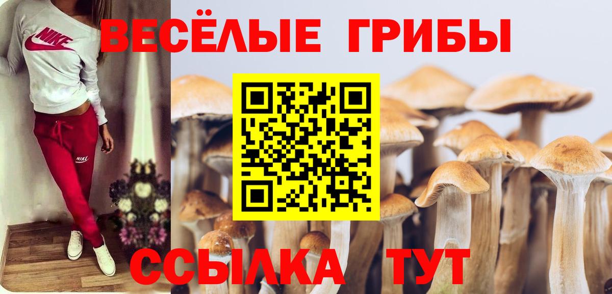 Псилоцибиновые грибы мухоморы Одинцово